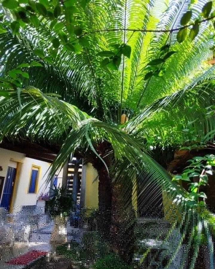 Pousada Solar Azul Lencois Esterno foto